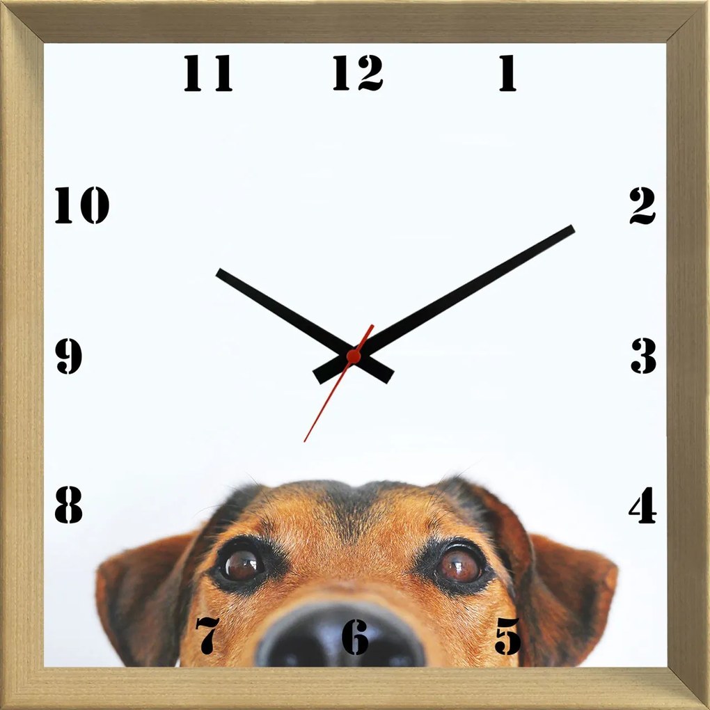 Relógio De Parede Criativo Pet Cachorro Espiando 30x30cm