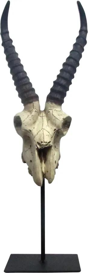 escultura cabeça de bode NILO resina bege 16cm Ilunato QC0510