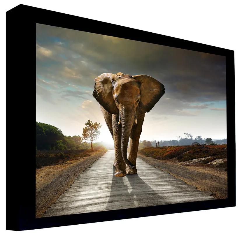 Quadro Decorativo 135x80 cm Elefante 058 com Moldura Laqueada Preto G64 - Gran Belo