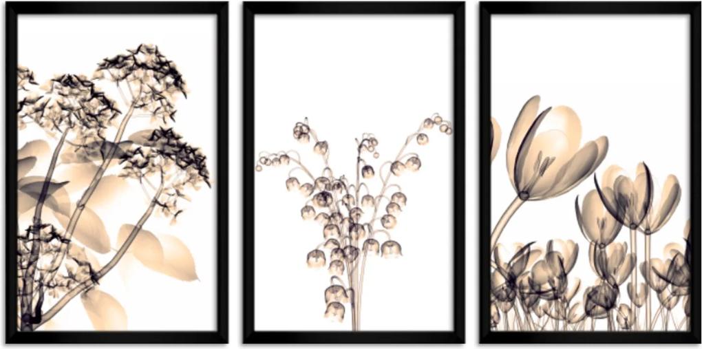 Quadro Oppen House 60x120cm Flores Abstrato Transparentes Moldura Preta Estilo Raio-x Decorativo Interiores Mod:OH006