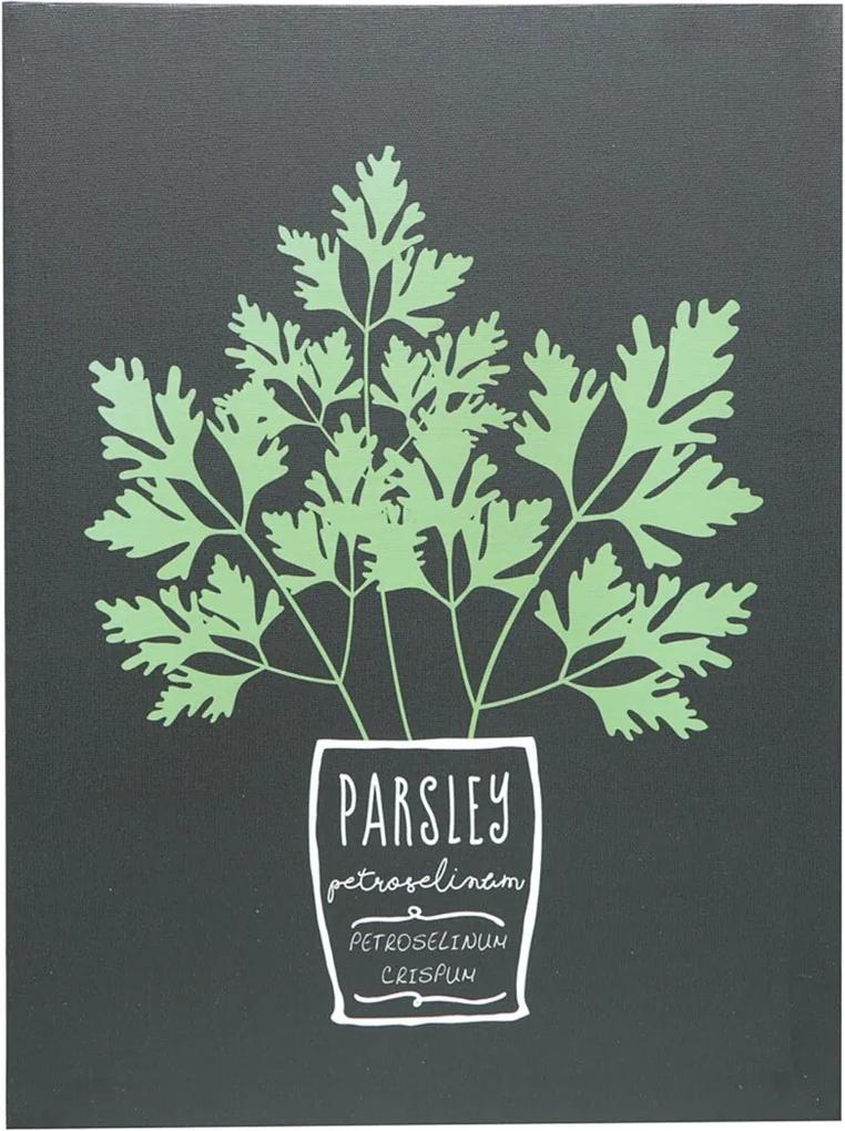 Placa Decorativa Tela Parsley Herbs Preto 30X40X1,5Cm Urban