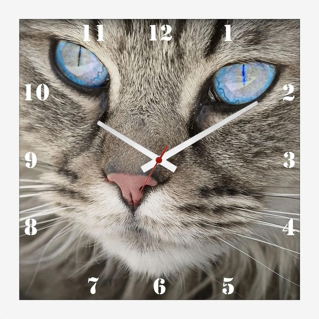 Relógio De Parede Personalizado Pet Olhos De Gato 30x30cm