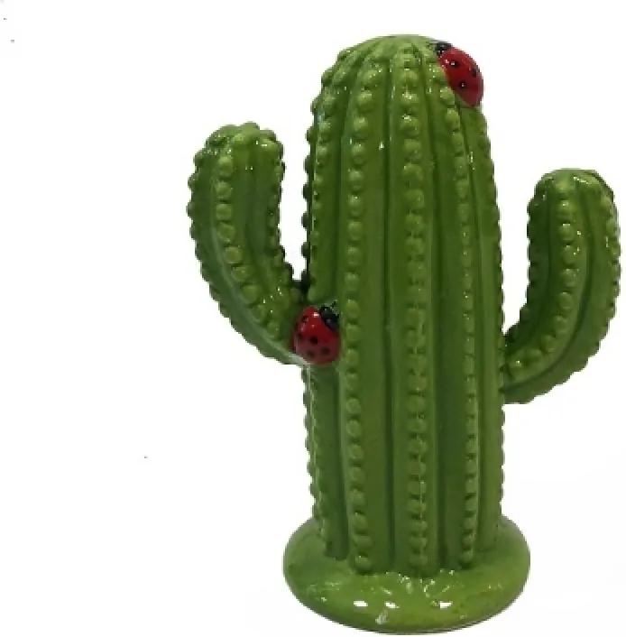 Cofre cactus joaninha