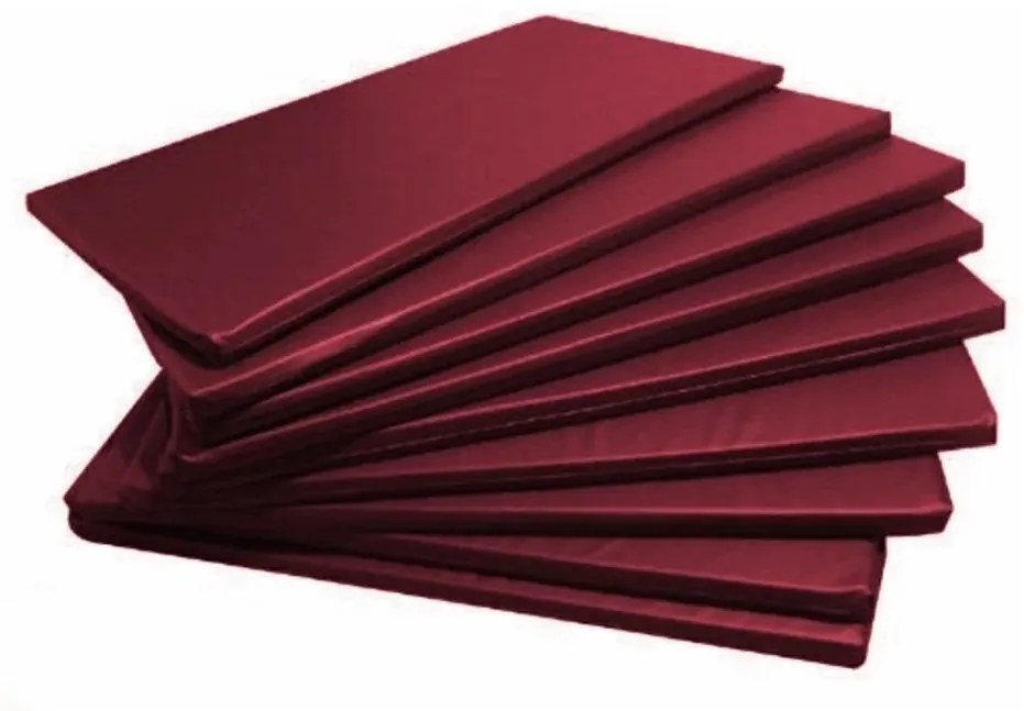 Kit 5 Colchonete Academia Espuma D33 Imperme�Vel 100X60X3 (Vermelho)
