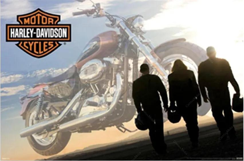 Placa Decorativa Pilotos e Harley-Davidson Média em Metal - 30x20 cm