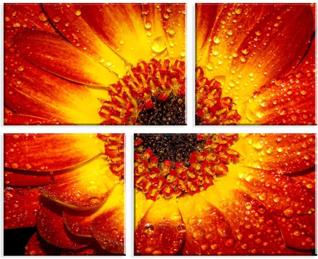 Conjunto de 4 Telas Wevans Decorativas em Canvas 83x103 Flor Laranja Multicolorido