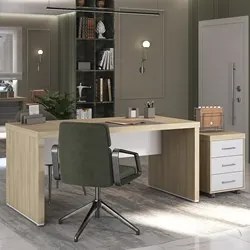 Mesa para Escritório 160cm e Gaveteiro com Rodízios Corp A06 Carvalho/