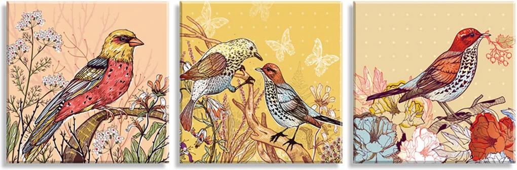Conjunto de 3 Telas Decorativas em Canvas Wevans Pássaros Multicolorida