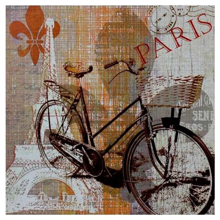 Quadro Decorativo Bicicleta em Paris - KF 49948 30x30 (Moldura 520)
