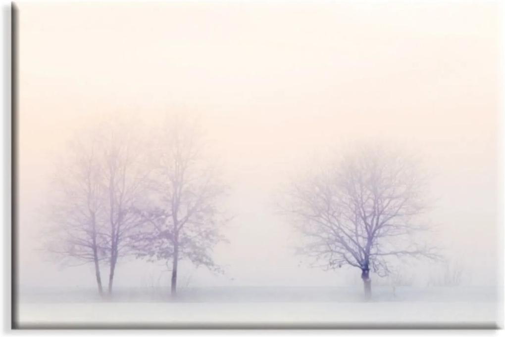 Tela Canvas Bosque Inverno Neblina Grande