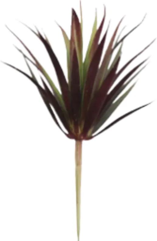 Suculento Aloe Pick - Casa Real
