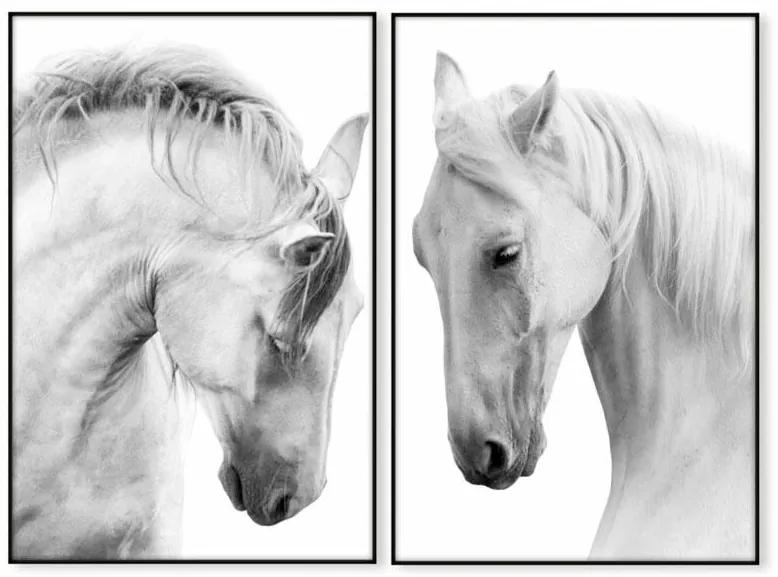 Conjunto de Quadros Cavalo Branco
