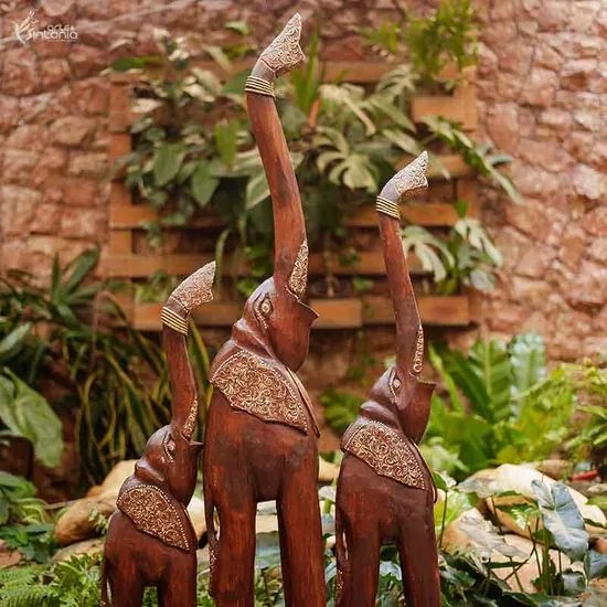 Trio de Elefantes Rococó Bali Madeira