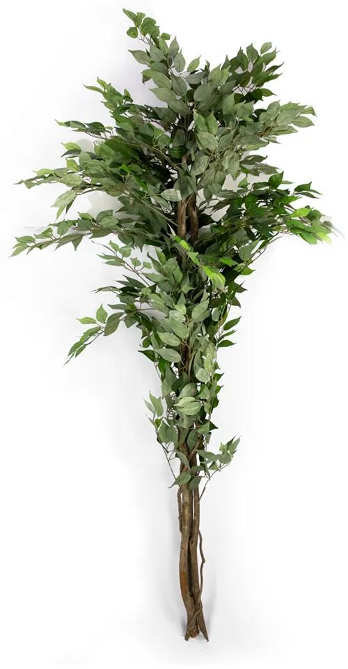 Planta Artificial Ficus Tronco Real Toque X1008 Verde 210 cm F04 - D'Rossi