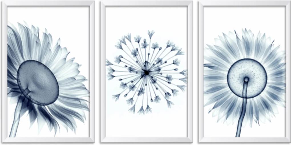 Quadro Oppen House 60x120cm Flores Abstrato Transparentes Moldura Branca Estilo Raio-x Decorativo Interiores Mod:OH0019