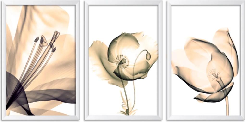 Quadro Oppen House 60x120cm Flores Abstrato Transparentes Moldura Branca Estilo Raio-x Decorativo Interiores Mod:OH0015