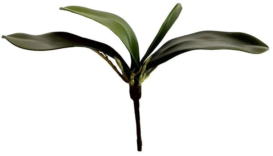 Folha Orquidea Artificial Verde 22 cm - D'Rossi