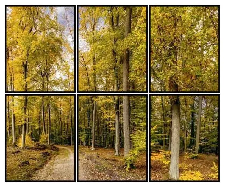 Kit 6 Quadros Decorativos Fall - FR 51180
