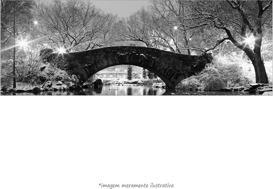 Poster Central Park (60x20cm, Apenas Impressão)