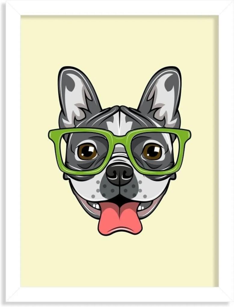 Quadro Decorativo Bulldog Francês com Óculos Verde Branco - Grande