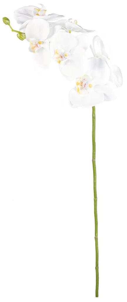 Orquidea Phalaenopsis 70cm - Branco  Branco