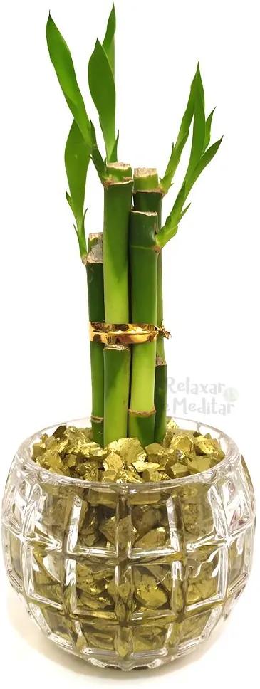 Vaso Redondo com Cinco Hastes de Bambu da Sorte (Energia do Sol)