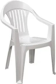 Cadeira de Plástico Tramontina Imbe Branco