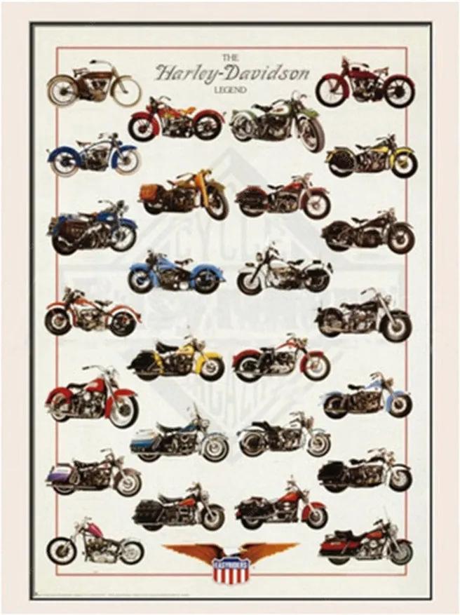 Placa Decorativa The Harley-Davidson Legend Média em Metal