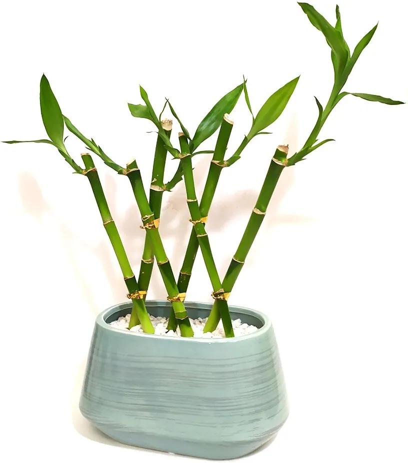 Vaso Cerâmica com Seis Hastes de Bambu da Sorte - Turquesa