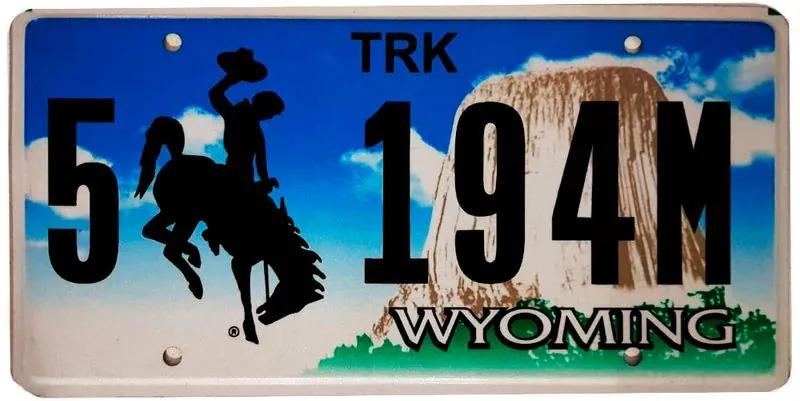 Placa De Carro De Metal Importada 5 194m Wyoming