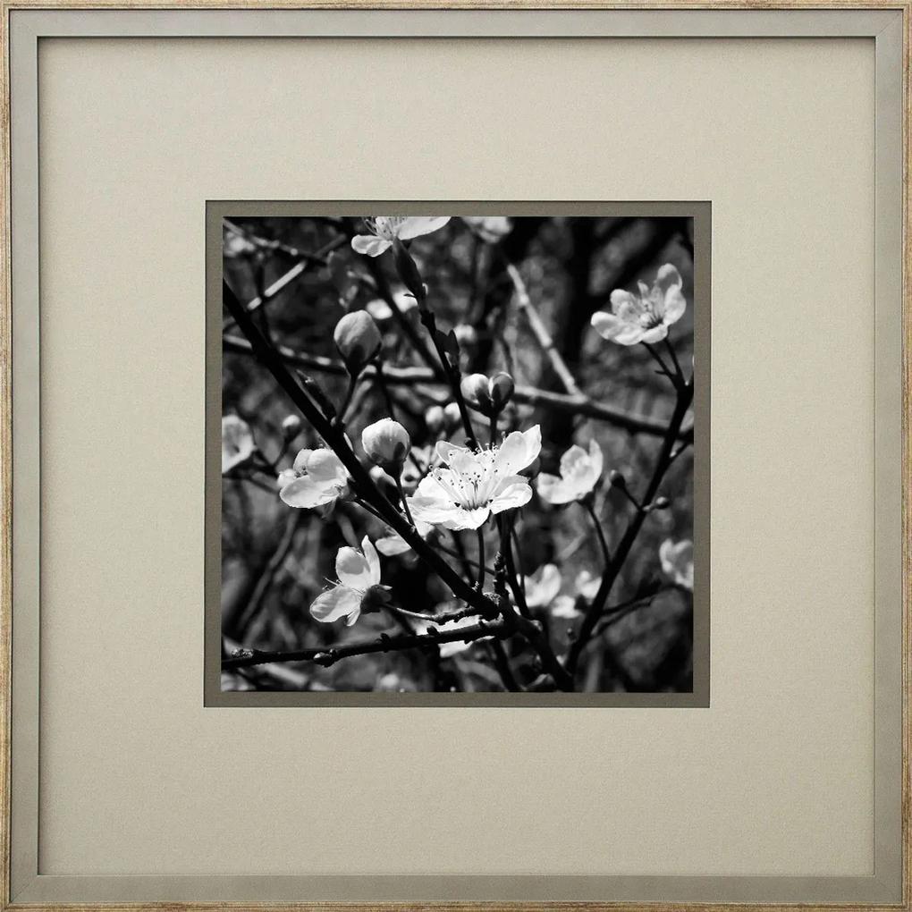 Quadro Decorativo Flor Amendoeira Em Preto E Branco 50x50cm