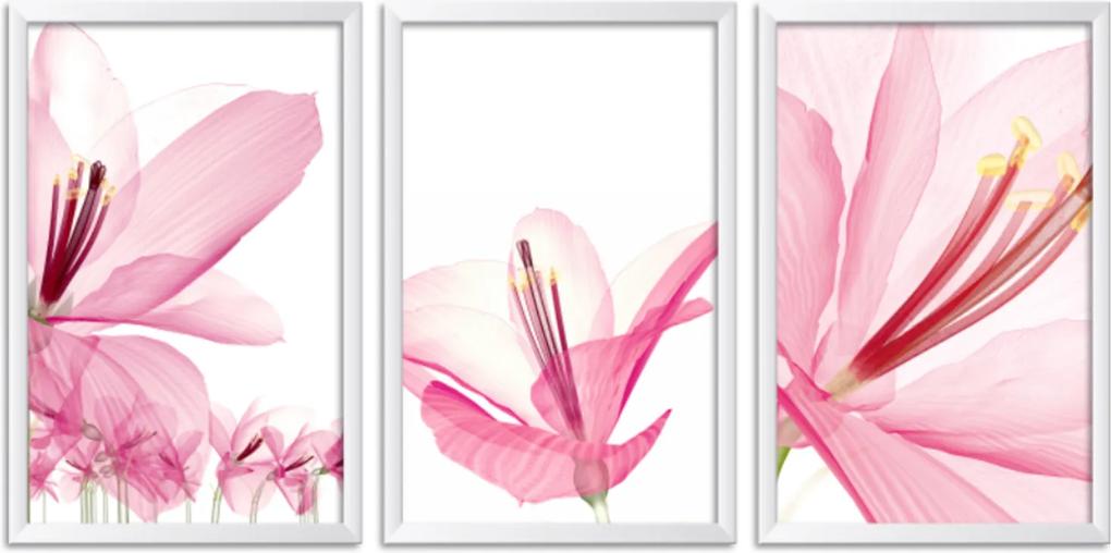 Quadro Oppen House 60x120cm Flores Abstrato Transparentes Moldura Branca Estilo Raio-x Decorativo Interiores Mod:OH0011