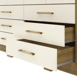 Guarda Roupa Casal 223cm Com Espelho Rick Nature/Champanhe V02 - Mpoze