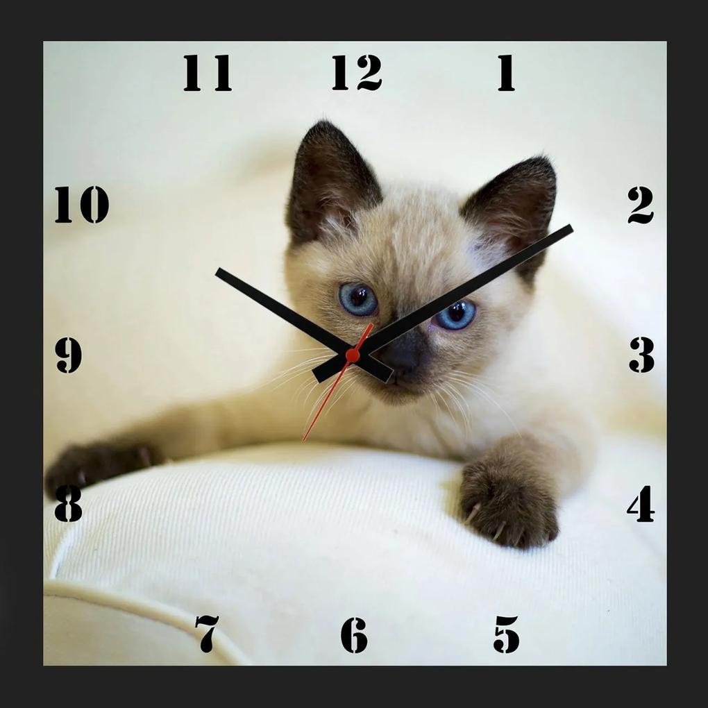 Relógio De Parede Personalizado Moldura Preta Pet Gatinho Filhote 30x30cm