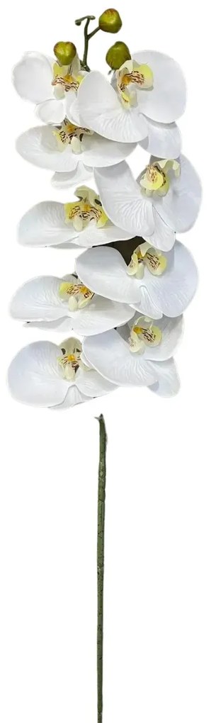 Galho Orquidea Branca 90Cm