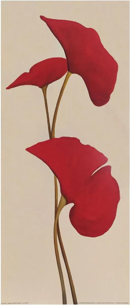 Gravura Para Quadros Flores Vermelhas Destacadas Em Fundo Bege 20x50cm