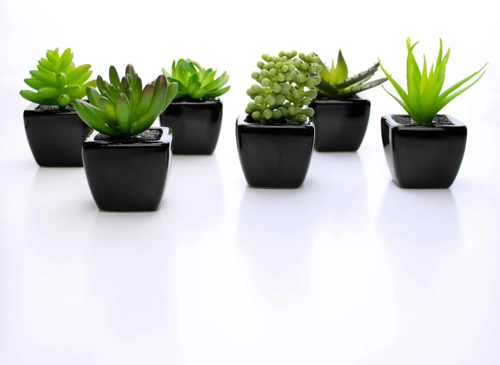 Suculenta Artificial Sortida Vaso Preto kit com 6 Unidades 6x6 cm - D'Rossi