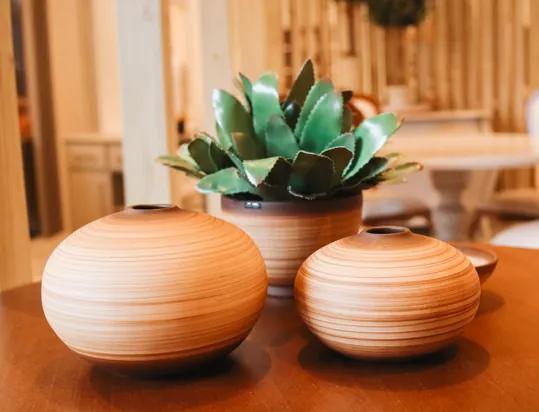 Vaso Bola Decorativo em Cerâmica Carolina Haveroth - Bamboo Fosco