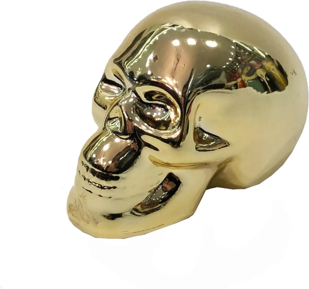 Cofre Cranio Caveira Dourado Decoracao Skull
