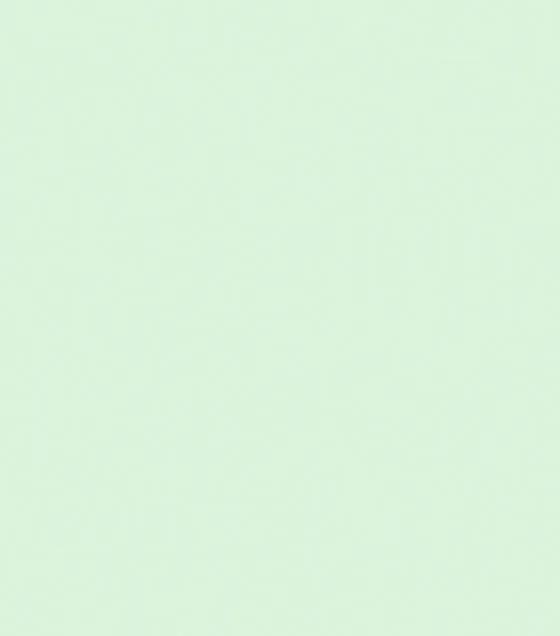 Papel de Parede Vinílico Liso Verde Claro - Importado - Coleção Império Algodão Doce - 190960