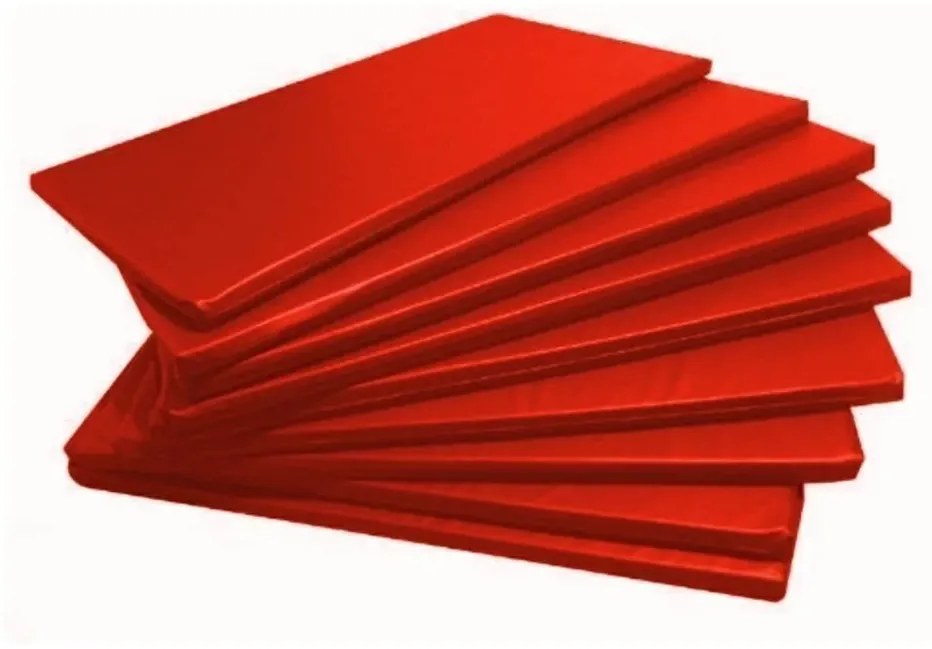 Kit 5 Colchonete Academia Espuma D33 Imperme�Vel 100X60X3 (Vermelho)