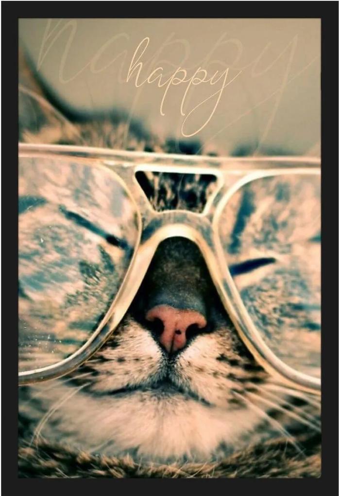 Quadro De Gato Decorativo Com Moldura Preta Gato Com óculos 40x60cm