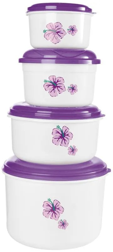 Kit Potes Hibisco para Mantimentos 4 Peças