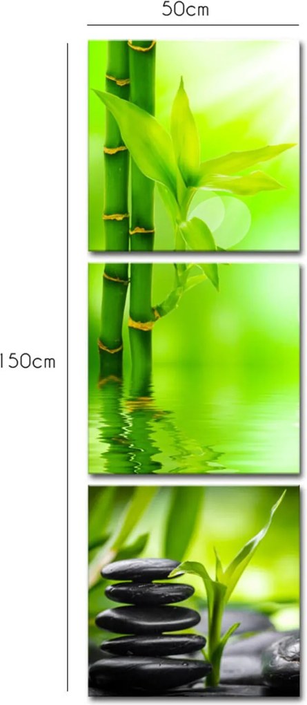 Quadro  Oppen House 150x50cm Bambu Verde Pedras Pretas Decorativo Zen