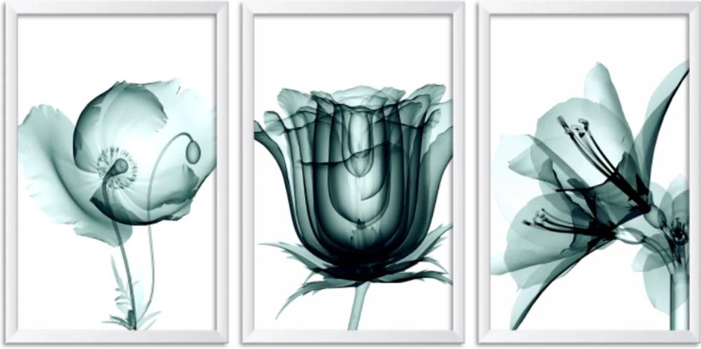 Quadro Oppen House 60x120cm Flores Abstrato Transparentes Moldura Branca Estilo Raio-x Decorativo Interiores Mod:OH0016
