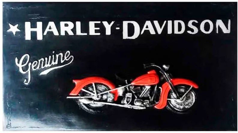 Quadro de Resina Harley Davidson
