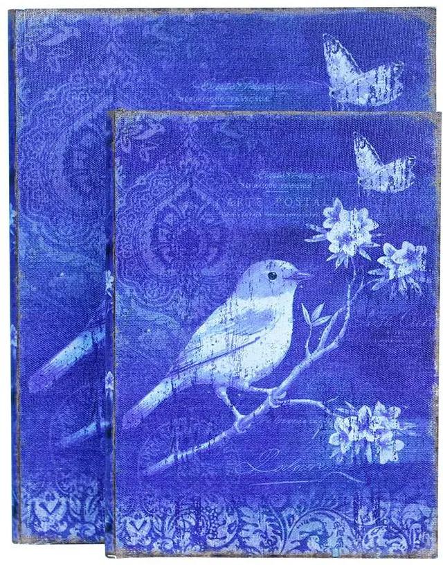 Conjunto 2 Book Box Blue Bird Oldway - 30x24 cm