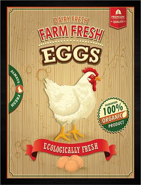 Quadro Farm Fresh Eggs