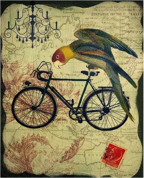 Tela Impressa Pássaro na Bike Verde