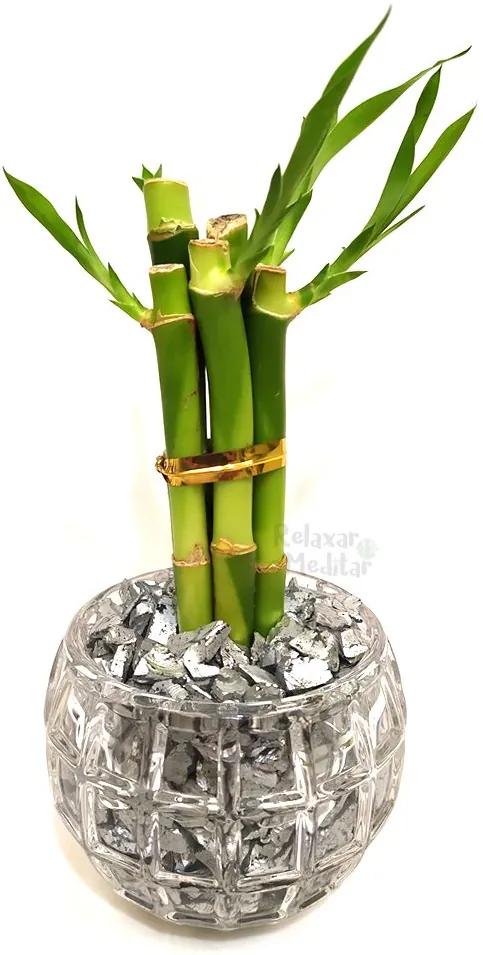 Vaso Redondo com Cinco Hastes de Bambu da Sorte (Energia da Lua)